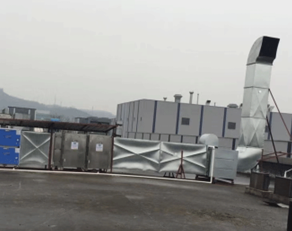 大渡口优质青青草APP成人看片入口地址