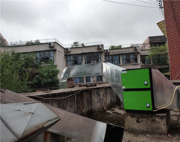 青青草视频免费